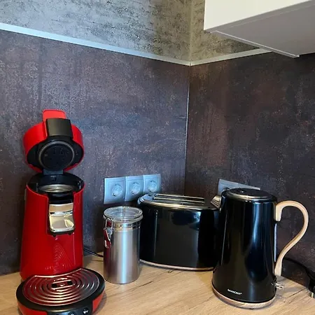 Nieman's Loft Apartment Emden